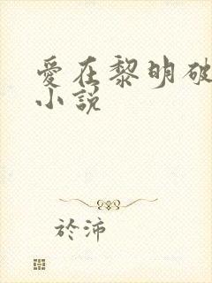 爱在黎明破晓前小说