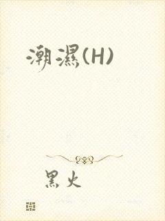 潮湿(H)
