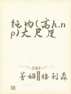 纯肉(高h.np)大尺度