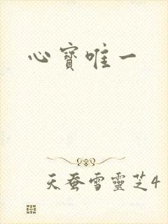 心宝唯一