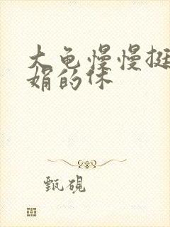 大龟慢慢挺进张娟的休