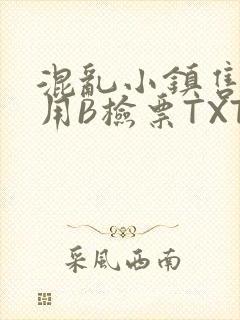 混乱小镇售票员用B检票TXT