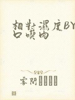 相对湿度BY大口吃肉