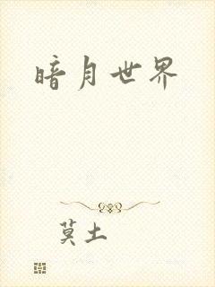 暗月世界