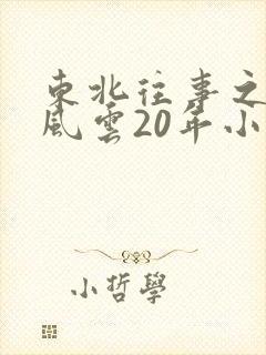 东北往事之黑道风云20年小说