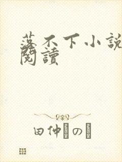 落不下小说免费阅读