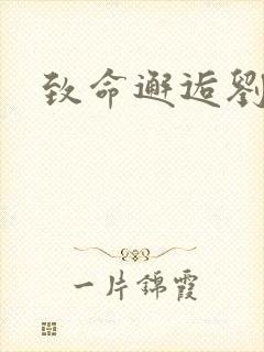 致命邂逅刘小寐