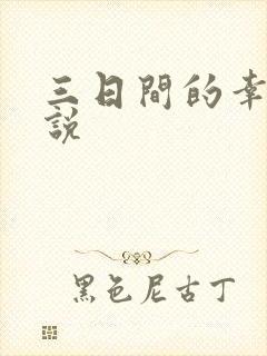 三日间的幸福小说