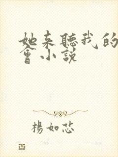 她来听我的演唱会小说