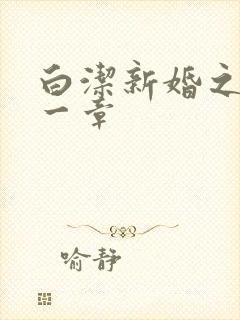 白洁新婚之夜第一章