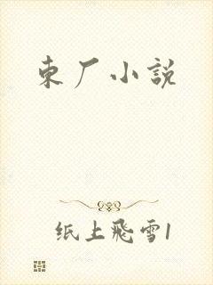 东厂小说