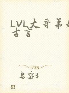 LVL大哥弟媳古言