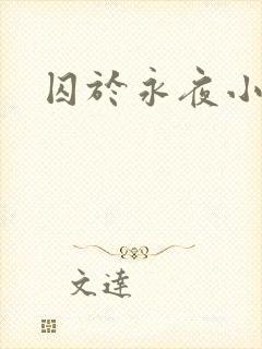 囚于永夜小说