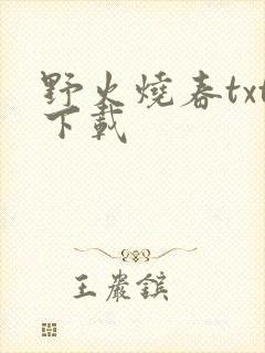 野火烧春txt下载