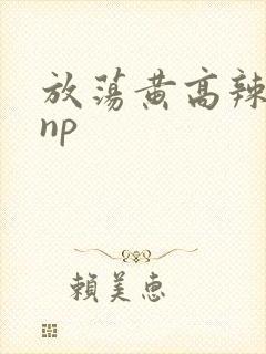 放荡黄高辣h文np