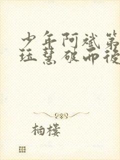 少年阿斌第二部珏慧破而后立