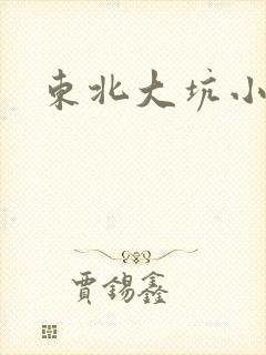 东北大坑小说