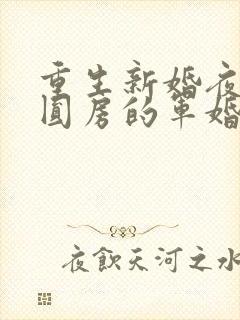 重生新婚夜正在圆房的军婚