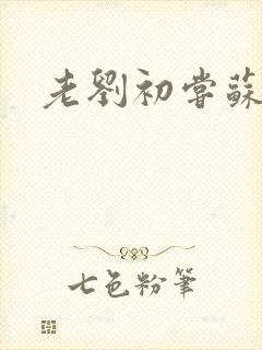 老刘初尝苏荷媳