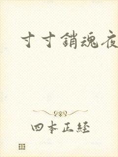 寸寸销魂夜春光