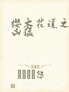 樱木花道之重生凶猛