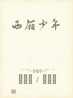 西厢少年