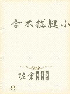 合不拢腿小说