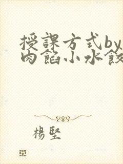 授课方式by 肉馅小水饺