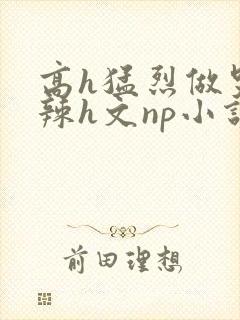 高h猛烈做哭高辣h文np小说