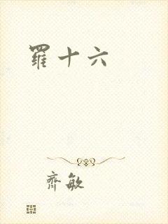 罗十六