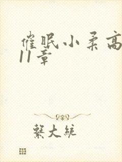 催眠小柔高达第11章