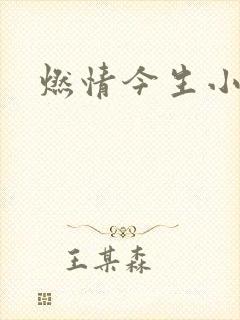 燃情今生小说