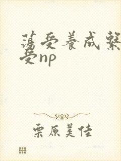 荡受养成系统总受np