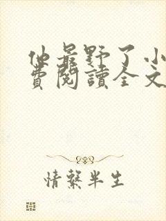 他最野了小说免费阅读全文