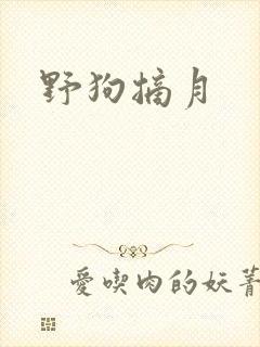 野狗摘月