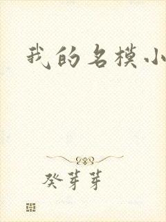 我的名模小娇妻