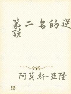 第二名的逆袭小说