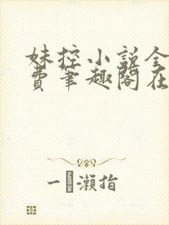 妹控小说全文免费笔趣阁在线阅读