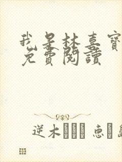 我是林喜宝小说免费阅读