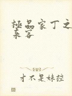 极品家丁之远方来客