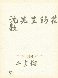 沈先生的花式调数