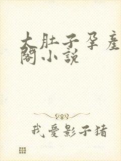 大肚子孕产笔趣阁小说