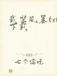 武装风暴txt下载