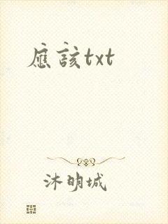 应该txt