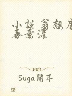 小说 翁想房中春意浓