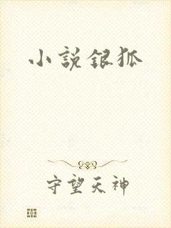 小说银狐