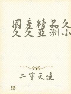 国产精品久久久久久亚洲小说