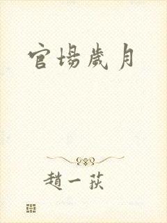 官场岁月