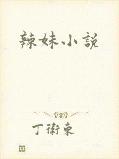 辣妹小说