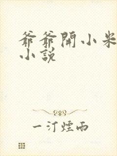 爷爷开小米的包小说